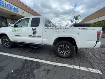 Vehicle Graphics Photo